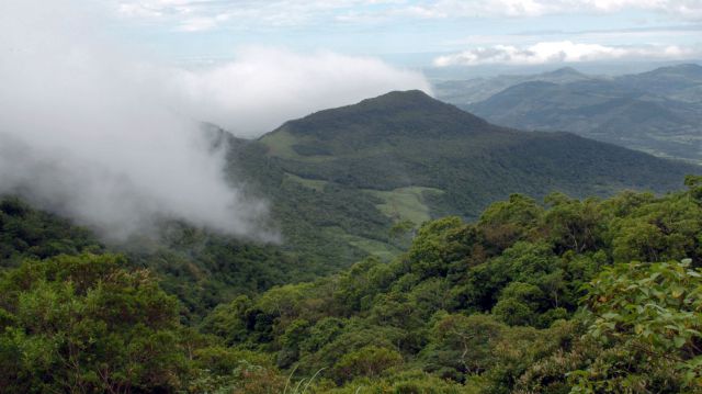 Das Bild zeigt eine Regenwaldlandschaft in Brasilien.